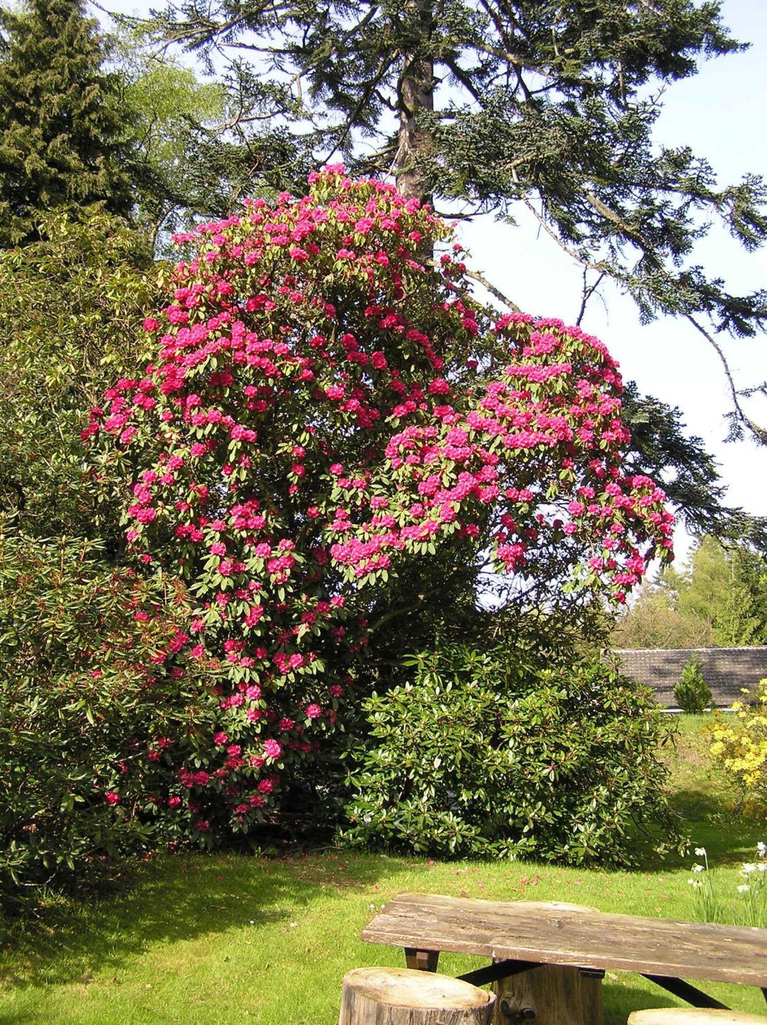 Pitlochry Dundarach Hotel 외부 사진